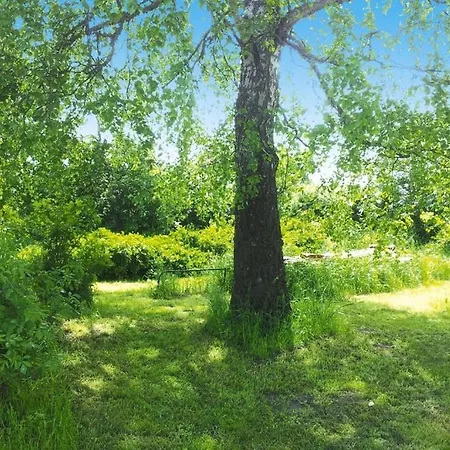 Xxl Mit Sauna In Upost * Warrenzin