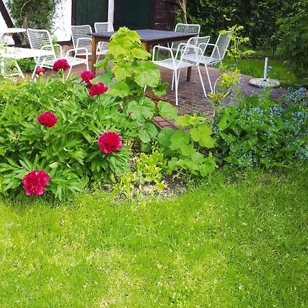 Ferienhaus Xxl Mit Sauna In Upost *